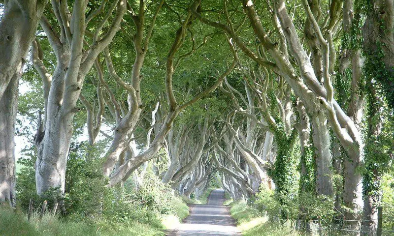 Game of Thrones inspires surge in tourism to Country Antrim
