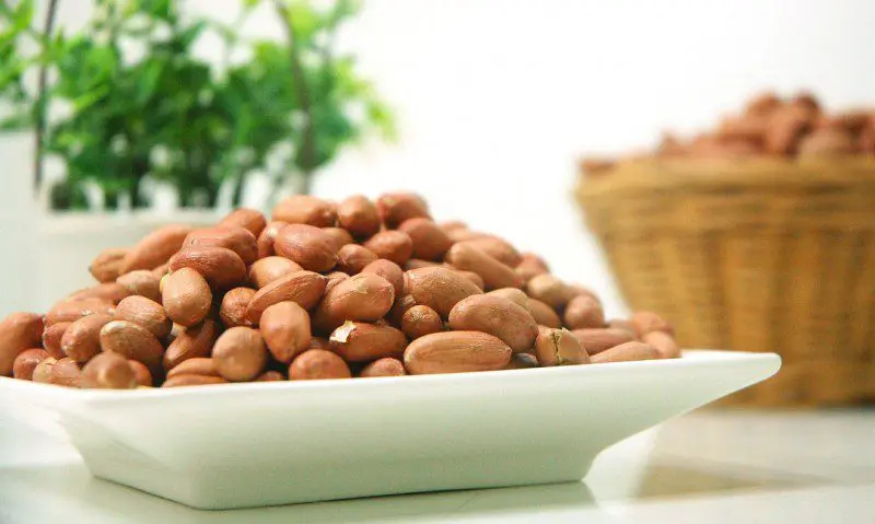 Allergy UK launches accreditation scheme for hospitality firms