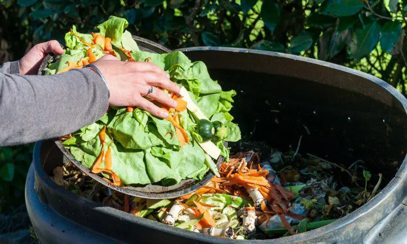 BEST PRACTICE: Reducing Kitchen Waste