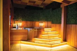 The Busby Hot Tub