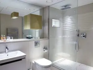 Frameless glass shower