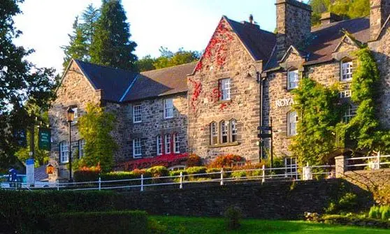 Hotel staff fired after killing feral cat