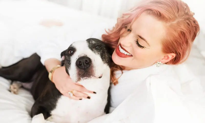 CASE STUDY: The world’s first luxury travel agency for dogs