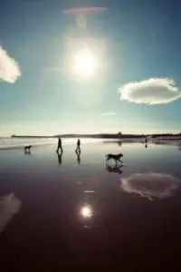 FEATURE: Aberdeen's balancing act