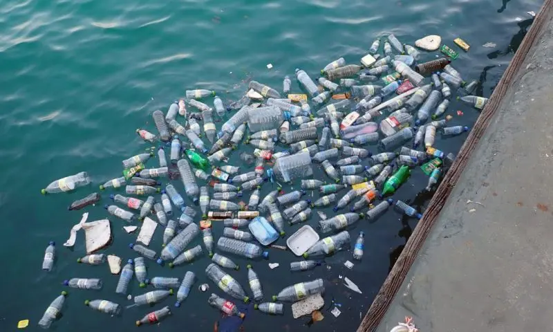 Hospitality trade bodies launch packaging waste reduction pledge