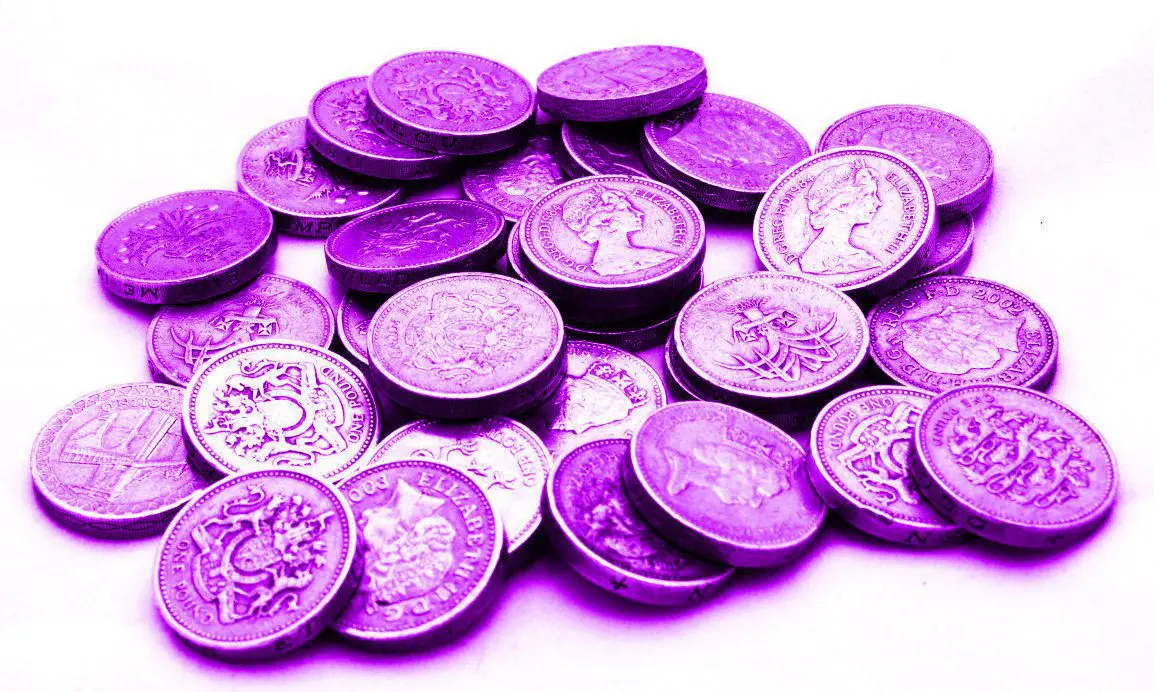 Catering for the ‘purple pound’