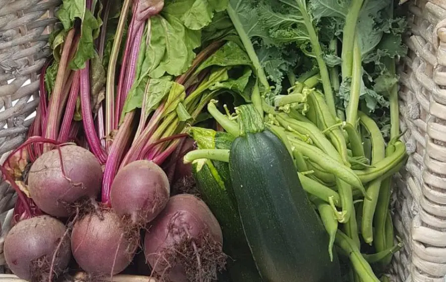 InterContinental London’s O2 branch to source all produce locally