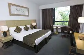 Cardiff Park Plaza Hotel goes plastic-free this Christmas