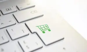 ‘Jingle bots’ are artificially ramming online shopping baskets to use up stock