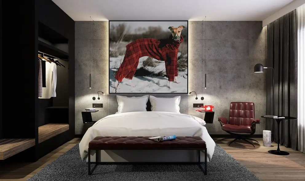 Radisson Hotel Group announces five year plan to attract investors