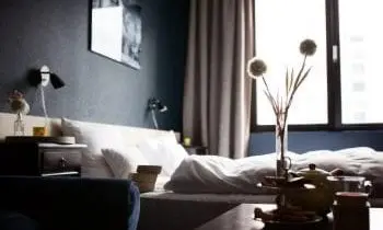 Magnuson CEO warns of ‘rapid decline’ of independent hoteliers