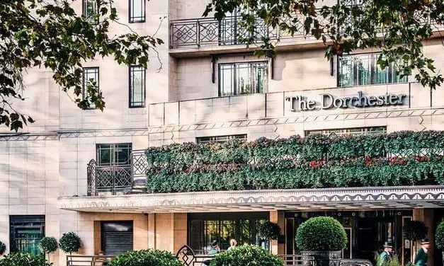 Dorchester Group reports loss amid boycott and Brexit uncertainty