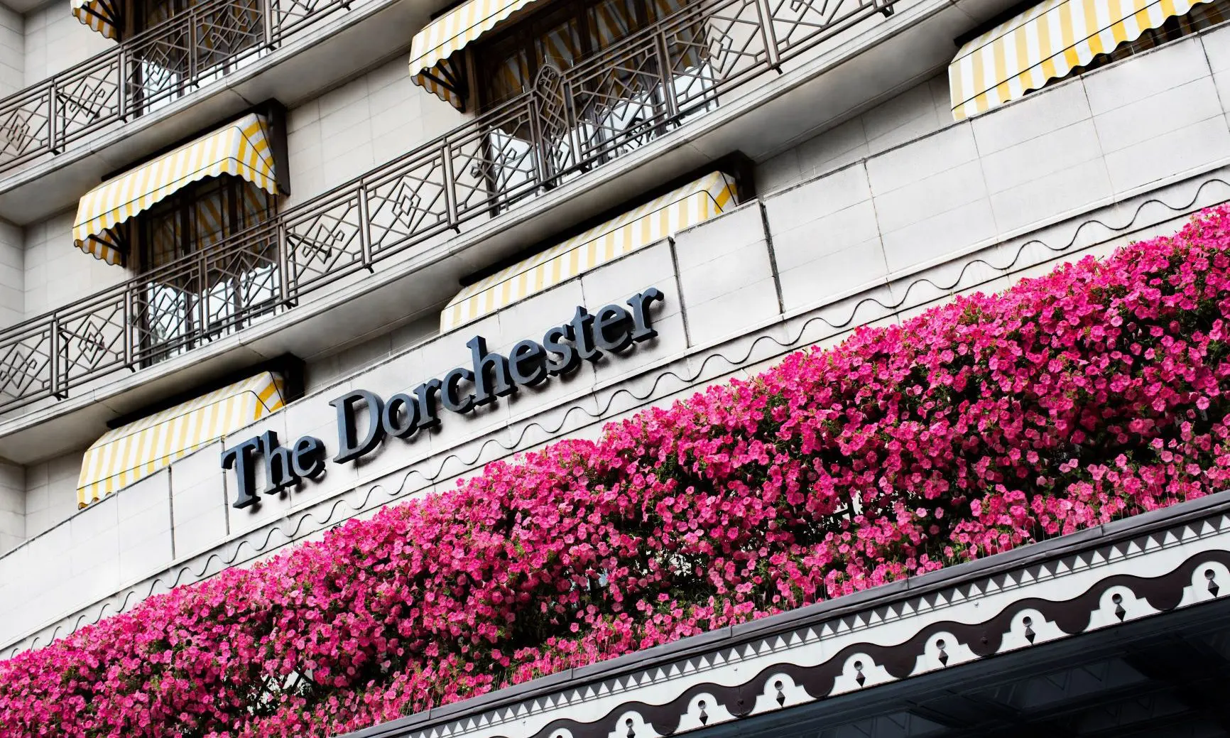 Dorchester Collection appoints new global head of wellness & spa