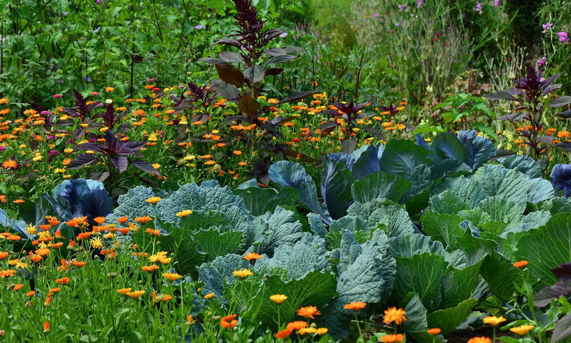 Hilton London Bankside launches kitchen garden