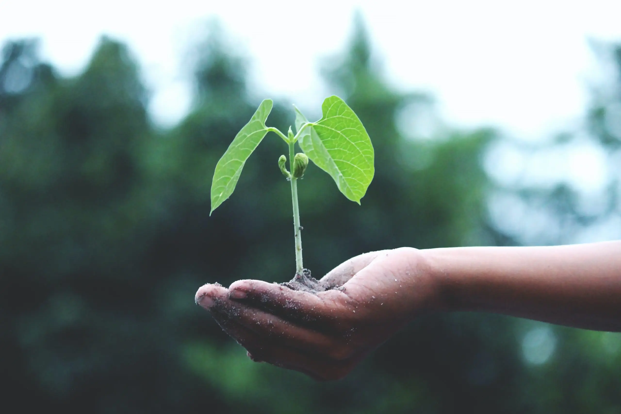 WTTC launches global hotel sustainability initiative