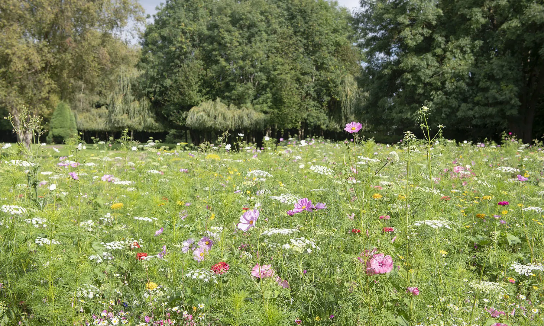 Kew Green Hotels awarded a Green Accreditation