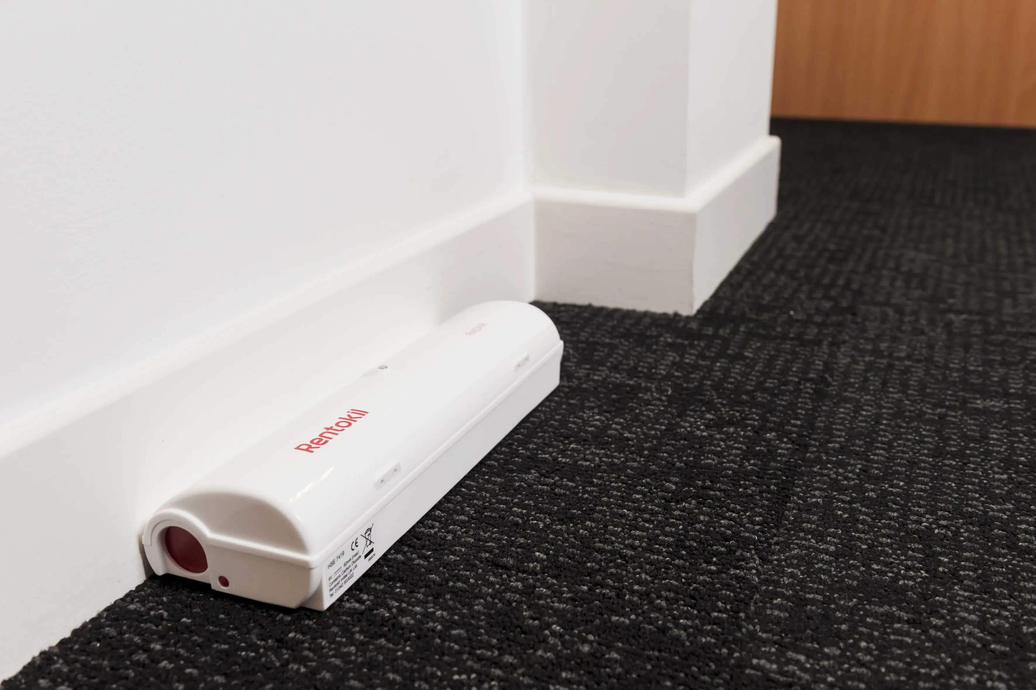 Why technology is key to rat-proofing your hotel this winter