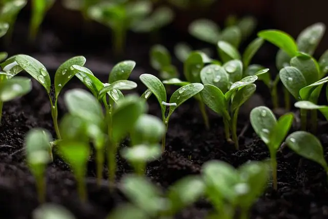 Is Green Key accreditation still relevant in an era of changing political tides?