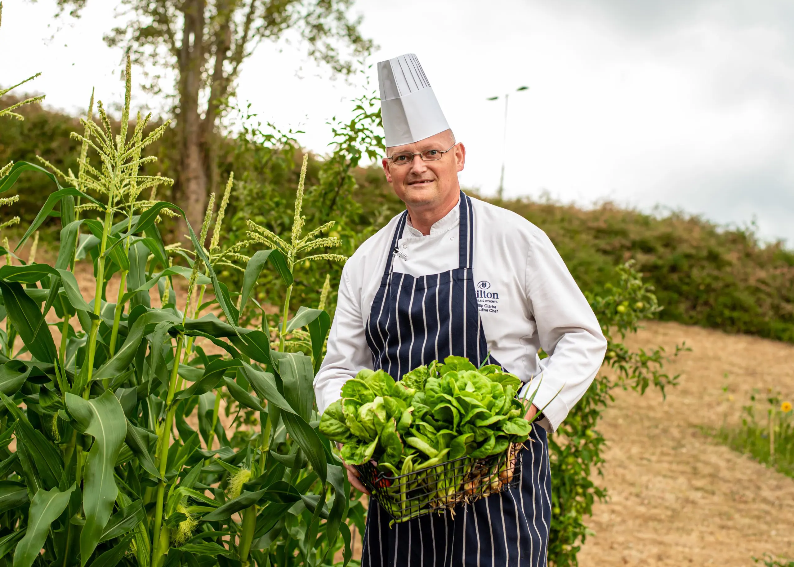 Beehives and hotel-grown vegetables: Hilton Heathrow Q&A