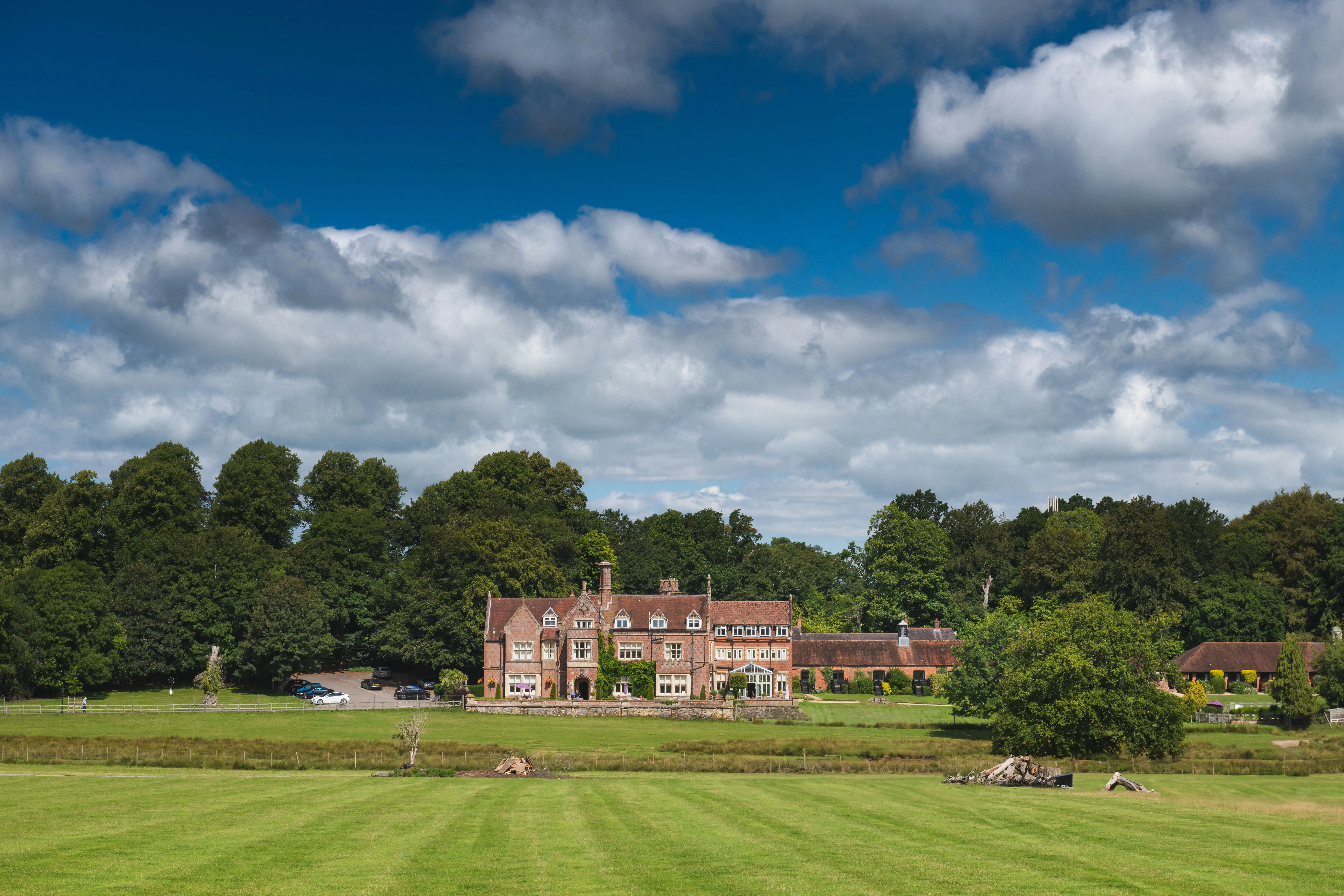 The New Forest Collection launches partnership with Rockingham Partners