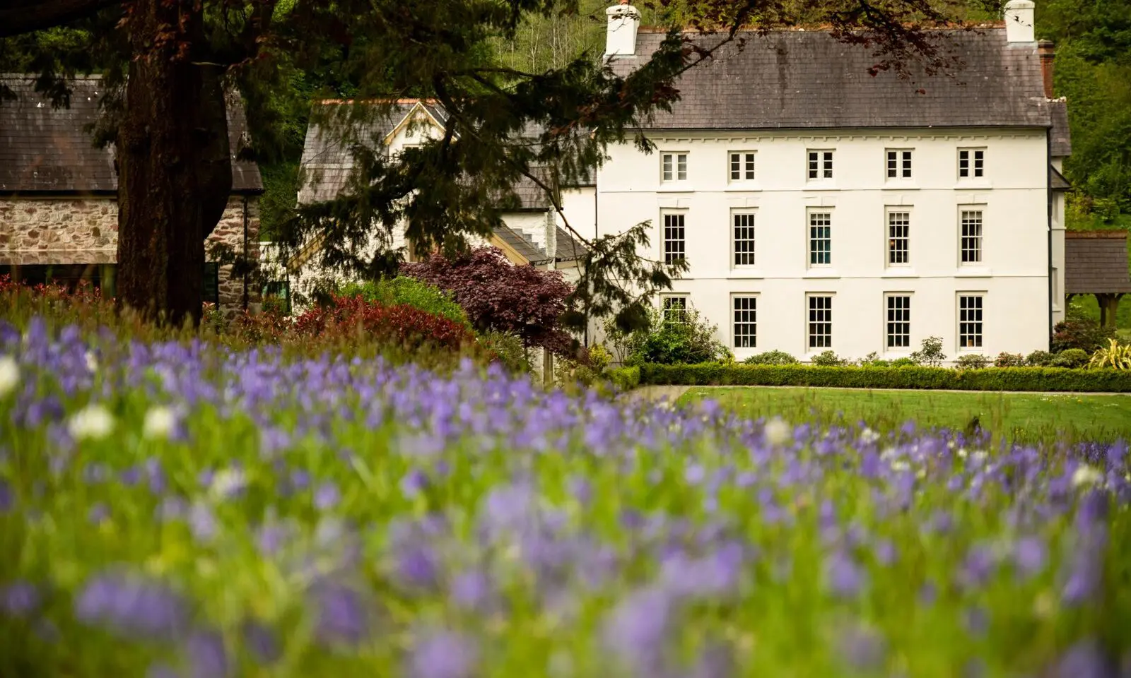 Seren welcomes investment from PE firm