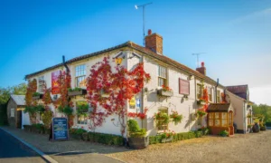 RedCat Hospitality sales up 2% in ‘transformational year’