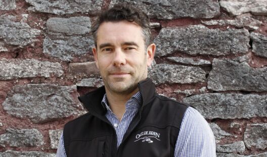 Out of Eden invests in UK-wide sales team 